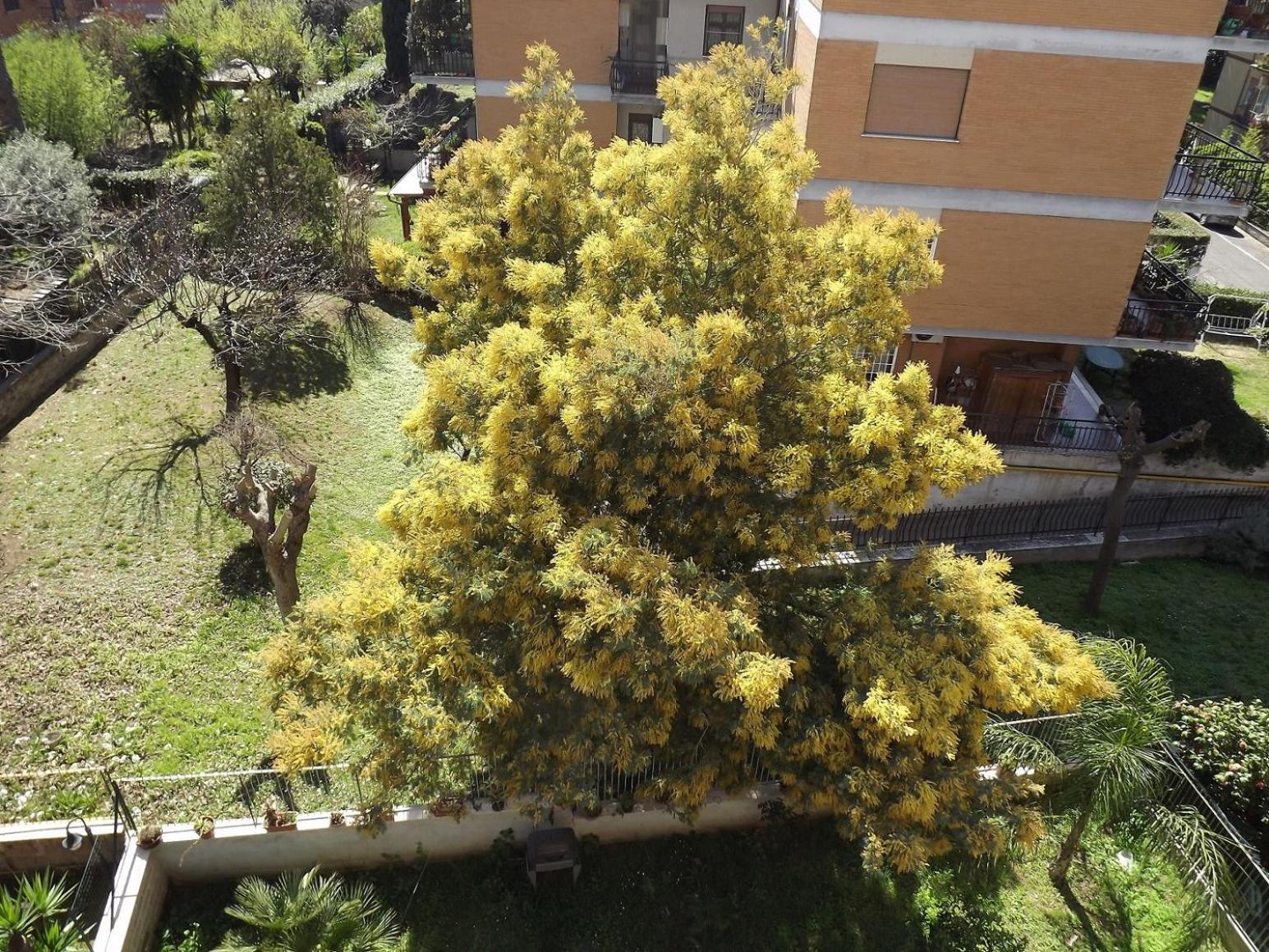 Gilda Vacanze Metro Battistini Apartment
